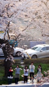 2014年お花見